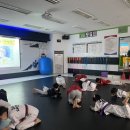 BOK 태권도 이미지