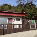 산아래 | 충남 당진 반려동물 동반 숙소 : 산아래 펜션 내돈내산 후기