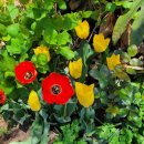 인보목장 이미지