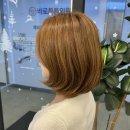 로이드밤헤어서창점 이미지