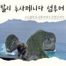 누사페니다 투어 사누르 스노쿨링 발리 리얼 트립 업체 후기
