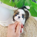 브리더하우스 이미지