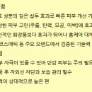 피부를바꾸다 이미지