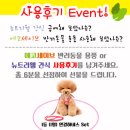 에코세이브