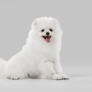 티앤디 동물병원 이미지