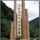 가리왕산목장 이미지