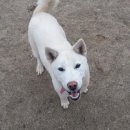 금순이농장 이미지