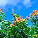 창공농장 이미지