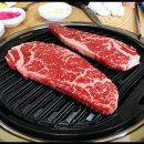 애견프라자 이미지