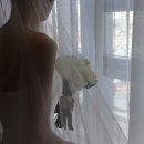 씨즈더데이 | ♡ ⋆⁺₊⋆ W08. 씨즈더데이 Seize the day snap| 본식 가성비 빈티지 아이폰 스냅 계약후기