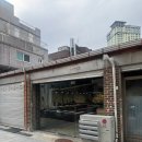 [서울 희귀식물] 용산·용리단길아프리카 식물샵, 웨트룸(WETTROOM) 방문 후기