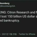 시트론(Citron) 이미지