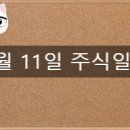 케이티 바이오시스 이미지