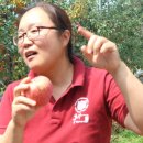 우리손 예산농장 이미지