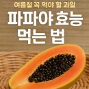 파파야 이미지