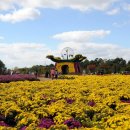 드림파크 이미지