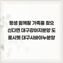 대구강아지분양 도로시펫 | 평생 함께할 가족을 찾으신다면 대구강아지분양 도로시펫 대구시바이누분양