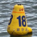 포토덤프 3주차 글로벌 개척단 면접과 일상생활들