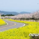 표선면-14 이미지