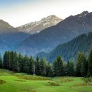 참참부동산공인중개사사무소 이미지