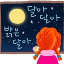 아라와 마루 이미지