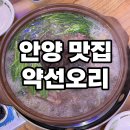 약선오리 | 안양 맛집, 능이백숙이 맛있는 약선오리 내돈내산 후기