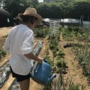 우빈농장 이미지