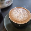 슬로우벗커피로스터스 | 제주 동쪽 카페추천 성산 커피 맛집 '레이트벗 커피 로스터스' 방문후기(반려동물 동반가능, 30여종의...