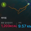 광주 인근 등산 코스 [추월산] 등산 후기, 산림청 백대명산