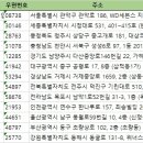 팀터틀렛강원