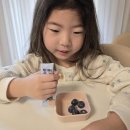 올바른 찬 | 올키 올바른 세븐엘더베리 후기 아이부터 어른까지 챙기는 면역·항산화 건강즙