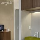 네일또와 이미지