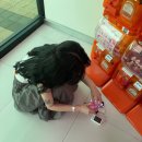 청량소림 | Busan -!