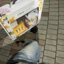 7月 (3)