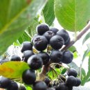 대윤식품 이미지