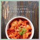 고평농장 2 | 김치 공장 고품질 김치를 만드는 비밀