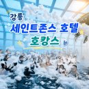 강릉 세인트존스 호텔 버블파티 수영장 패밀리객실 가족여행 후기