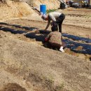 지만농장 이미지