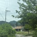 스테이수목 이미지