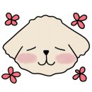 제일미용타운 이미지
