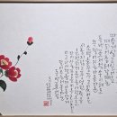 성서노인종합복지관 이미지