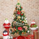 트리트리 이미지