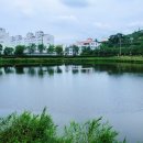 솔향기공원 이미지