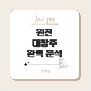 원전종합건설(주) | 세계 원전 대장주 vs 한국 원전 대장주 완전 분석