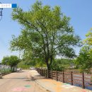 유등연지 둘레길 | <청도가볼만한곳> 연꽃과 연못으로 가득한 연못 '청도 유등 연지'