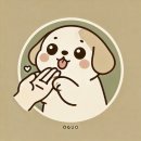 MY DOG GROOMING 이미지