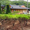 주목정원 이미지