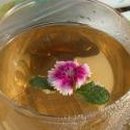 한주동안 이미지