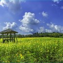 황산농장 이미지