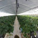 용범농장 이미지